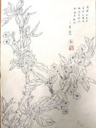 学生白描作品